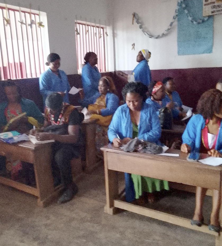 Cameroon 2025 workshop